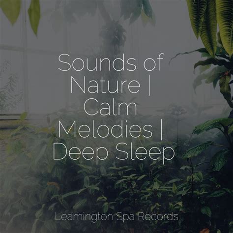 Sounds Of Nature Calm Melodies Deep Sleep Album By Schlaflieder