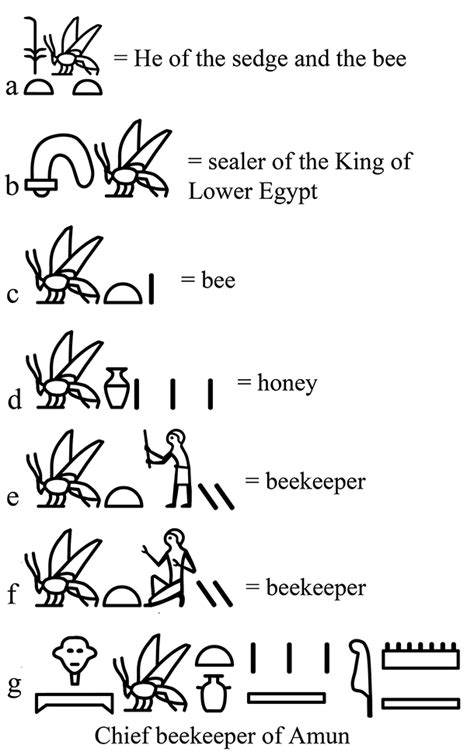 Living On Earth The Beekeepers Of Ancient Egypt Ancient Egypt Bee