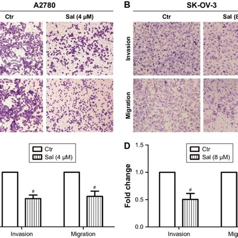 Salinomycin Repressed The Proliferation Of EOc Cells Notes A And B