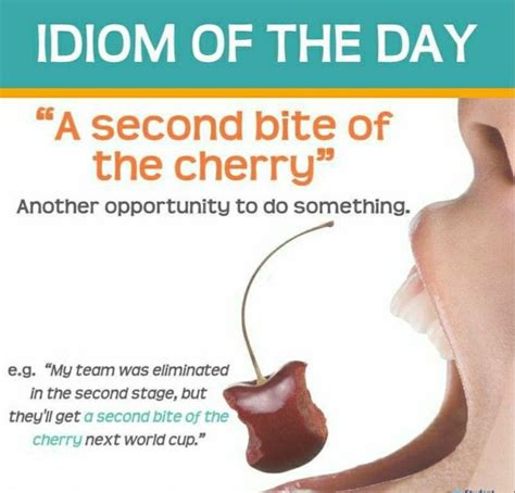 A Second Bite Of The Cherry English Idioms English Vocabulary Idioms