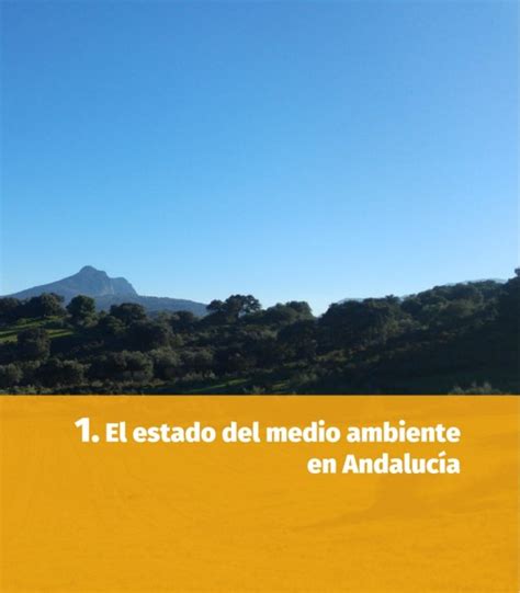 Page Ima Informe Del Medio Ambiente