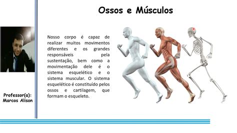 Como Funcionam Nossos Ossos E Musculos CiÊncias Youtube