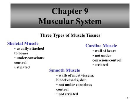 Powerpoint Lecture Outlines To Accompany Holes Human Anatomy And