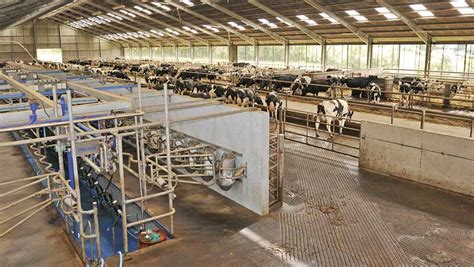 Whats In Your Livestock Shed Visits A State Of The Art £13m Dairy Unit Farmers Weekly