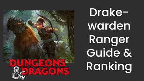 Drakewarden Conclave Ranger Subclass Guide And Power Ranking In Dandd 5e Hdiwdt Youtube