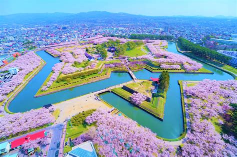 Hokkaido Hokkaido Hakodate Standard And Secret Spot Cherry Blossom