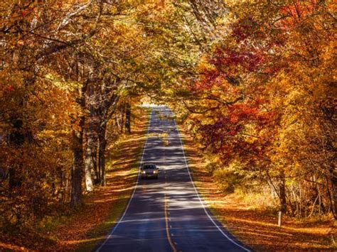 15 Best Fall Foliage Road Trips And Drives In The Usa Artofit