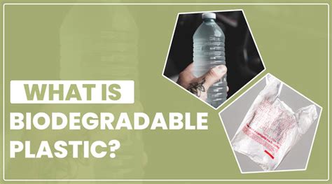 A Guide To The Different Types Of Biodegradable Plastics