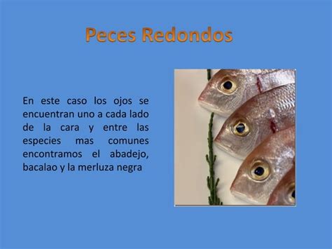 Clasificacion De Los Pescados Ppt