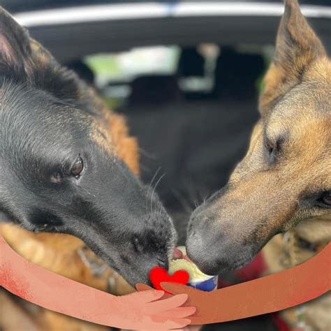 Traffic jams near Asda Gateshead Supercentre Gateshead spark complaints 18