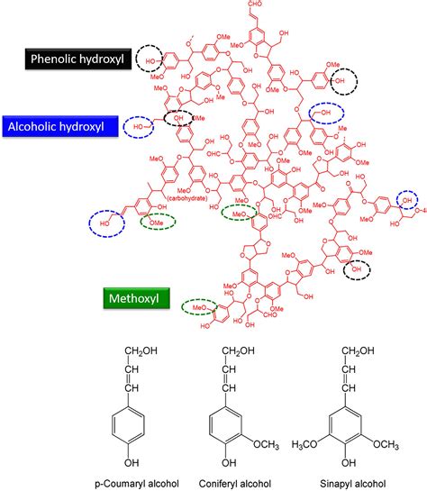 Frontiers Processing Carbonization And Characterization Of Lignin