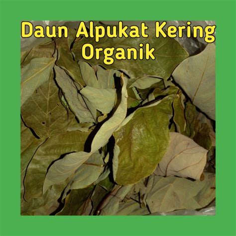 Jual Daun Alpukat Kering Organik Kg Shopee Indonesia