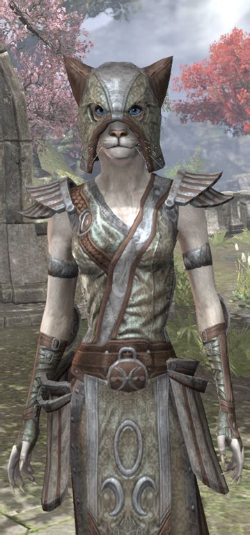 Eso Fashion Khajiit Silverweave