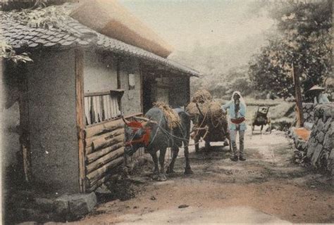 明治の農村の姿はこんなふうだった【画像】 江戸 写真 沖縄 文化 古い写真