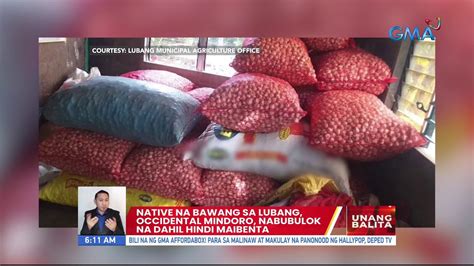 Native Na Bawang Sa Lubang Occidental Mindoro Nabubulok Na Dahil