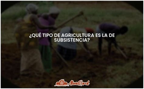 Agricultura De Subsistencia Todo Lo Que Debes Saber ALMARURAL