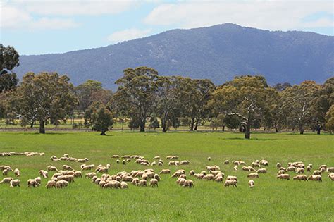 Rural Australia Photos & Information