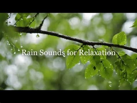 Ambient Sounds For Relaxation Calming Music And Rain Sounds For