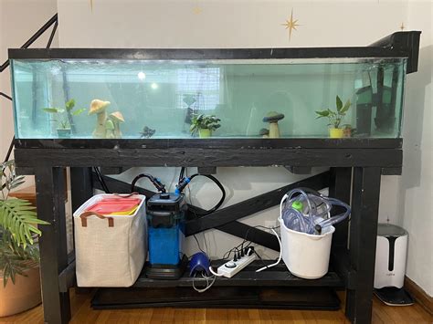 Key Details About 100 Gallon Fish Tank Dimensions: Choosing the Right ...