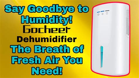 Dry Comfortable Air Gocheer Dehumidifier For Home Review Youtube