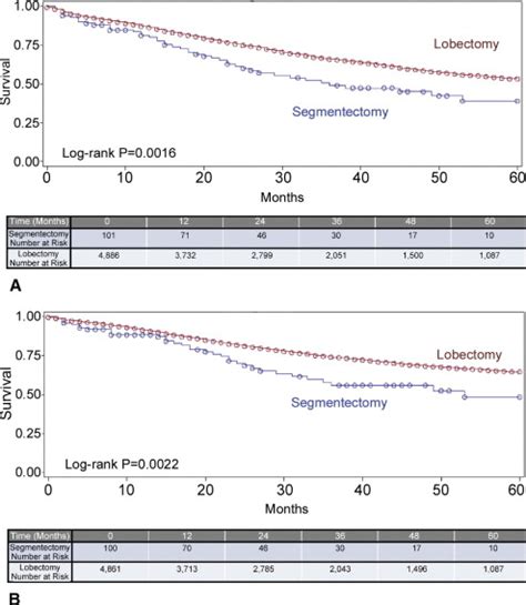 Survival After Lobectomy Versus Segmentectomy For Stage I Non Small