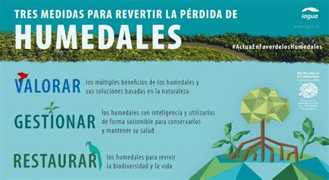 Día Mundial De Los Humedales 2022 Actuar Por Los Humedales Es Actuar