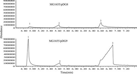 The Gcms Result Of Paa From The Extract Of The Recombinant Strain