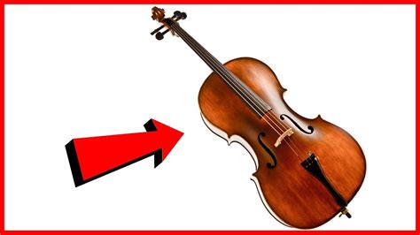 Partes Del Violonchelo Youtube