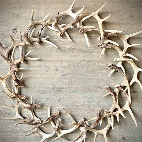 44 Large REAL Antler Wreath Etsy