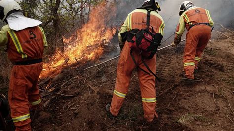 El Fuego Arrasa En Espa A Casi Hect Reas Hasta Abril M S Del