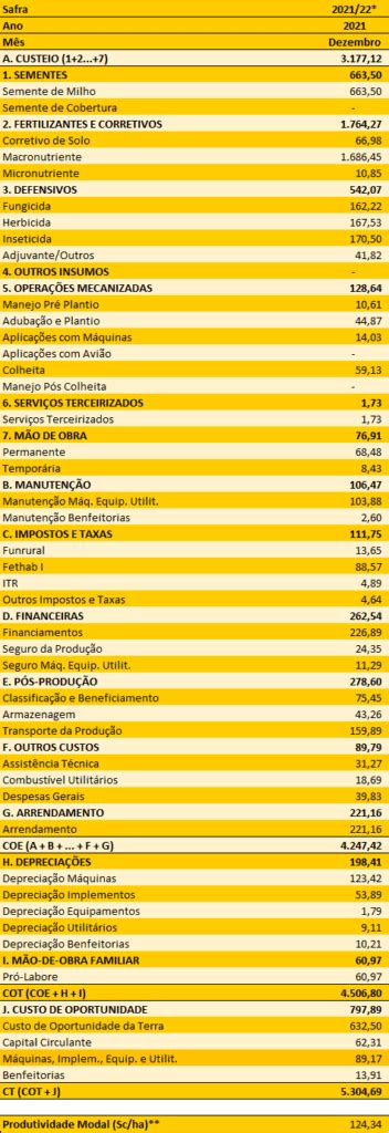 Custo de produção de milho por hectare Saiba como calcular