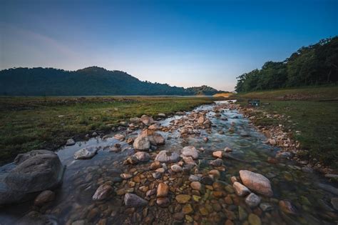 C Rrego De Gua Doce Fluindo Pela Montanha E Pelo Vale Da Floresta Em