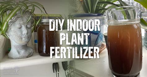 How To Make An Organic Houseplant Fertilizer Garden Culture Magazine