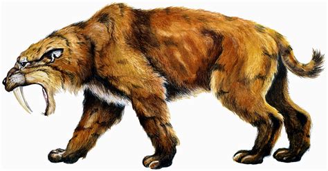 Saber-toothed Cats | Indiana Geological & Water Survey