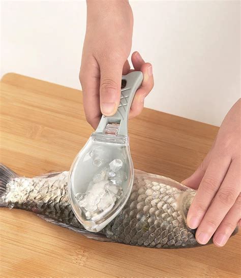 Détartreur rapide pour écailles de poisson brosse à peau de poisson