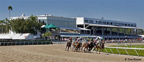 Excitement Grows as Tampa Bay Downs Nears Saturday's Opening Day - HorseRacingFLA