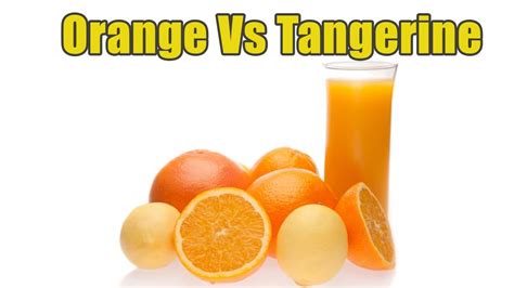 What Is The Difference Between Orange And Tangerine Boldsky Youtube