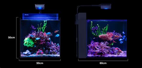 Max Nano G Xl Il Nuovo Nano Reef All In One Di Red Sea