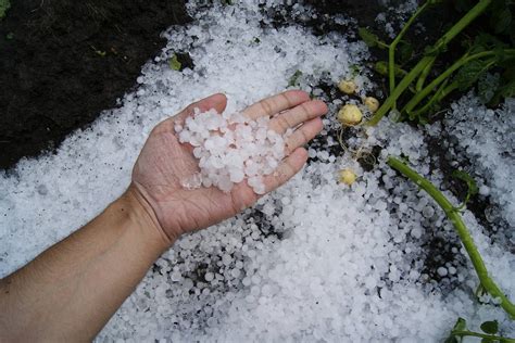 Ciencia cómo se forma el granizo FayerWayer