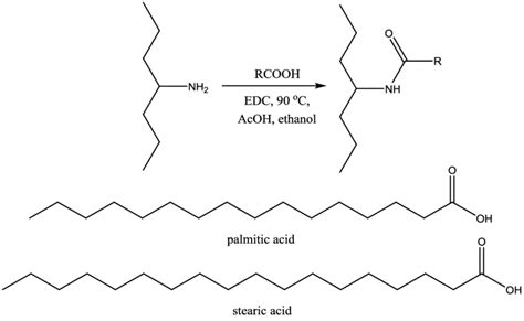 Scheme Of Chitosan Modification With Fatty Acids Download Scientific Diagram