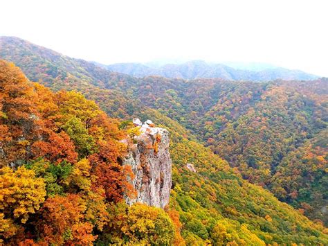 THE 10 BEST Things to Do in Gwangju (2025) - Must-See Attractions