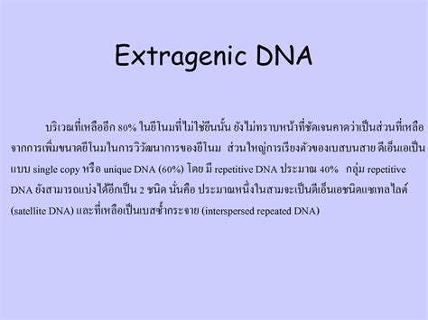 The Structure Of Human Gene And Genome Ppt Download