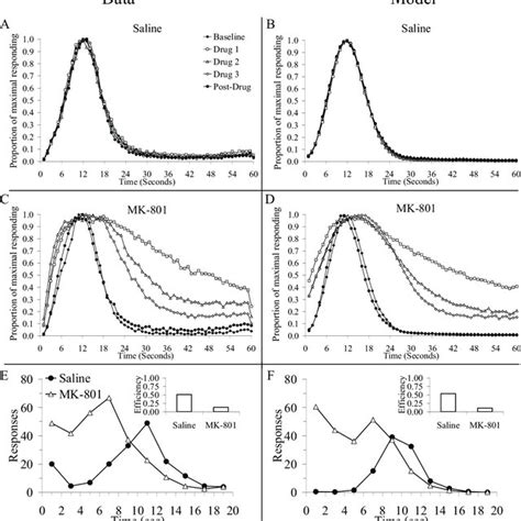 A Comparison Of Observed And Simulated Temporal Response Profiles