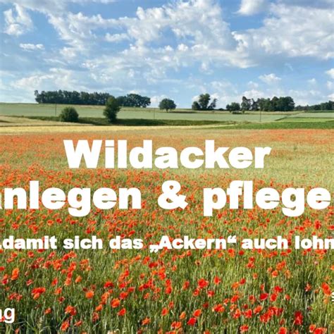 Wissen Wildackerberatungsstelle Jehle Alles für den Wildacker