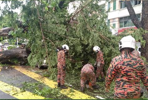 Pokok Tumbang Hempap Kereta Pemandu Maut Astro Awani