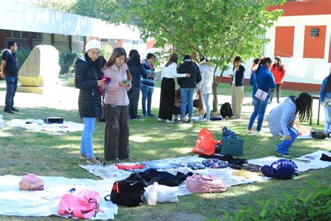 Para Fomentar La Inclusi N Y El Conocimiento Organiza Desarrollo Humano