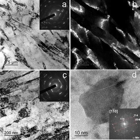 SEM micrographs of the microstructure of Fe 30 Mn а Fe 45 Mn alloys