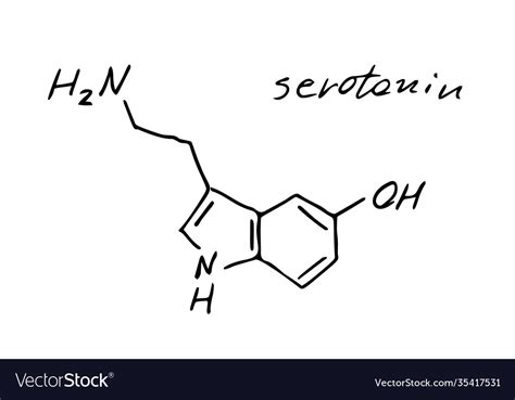 Serotonin Chemistry Molecule Formula Hand Drawn Vector Image