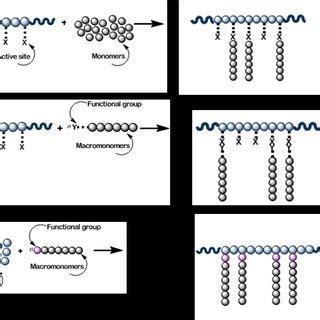 2 Illustration of the three grafting approaches (a) grafting from, (b)... | Download Scientific ...