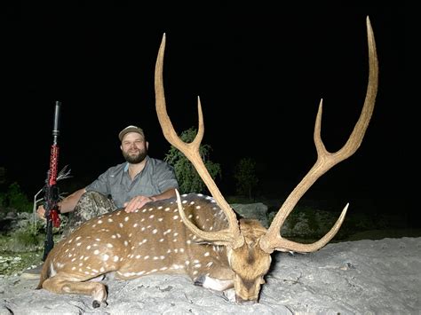 Texas Hunting - Ox Ranch - Exotic and Whitetail Hunting - Gatorhunts